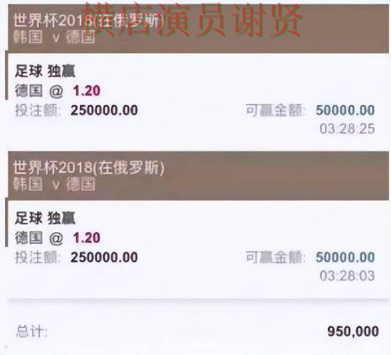 世界杯买球平台高手都在关注哪些细节 老玩家都在研究